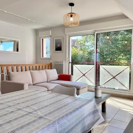 Coc - L'annexe فيلة