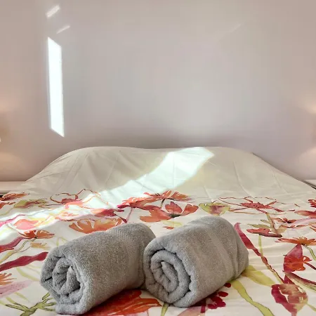 Coc - L'annexe فيلة *